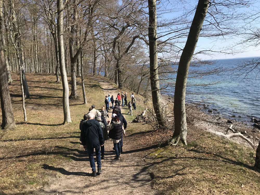 filer/billeder/Oplevelser/Oplevelser 2023/Skovtur 2023 2.jpg